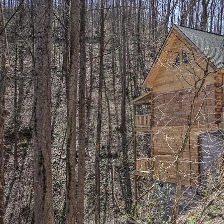 The Phoenix Cabin With Hot Tub In Gatlinburg! المظهر الخارجي الصورة
