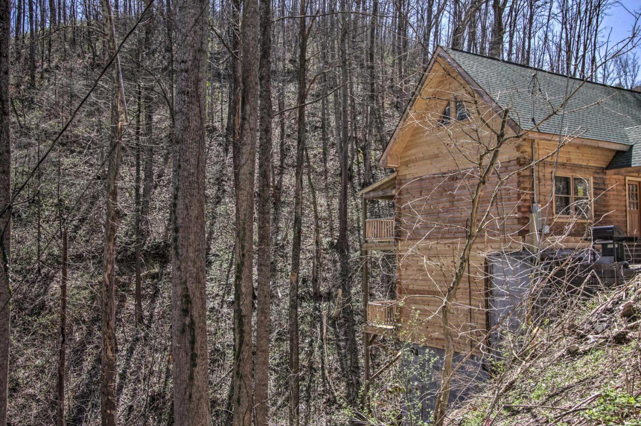 The Phoenix Cabin With Hot Tub In Gatlinburg! المظهر الخارجي الصورة
